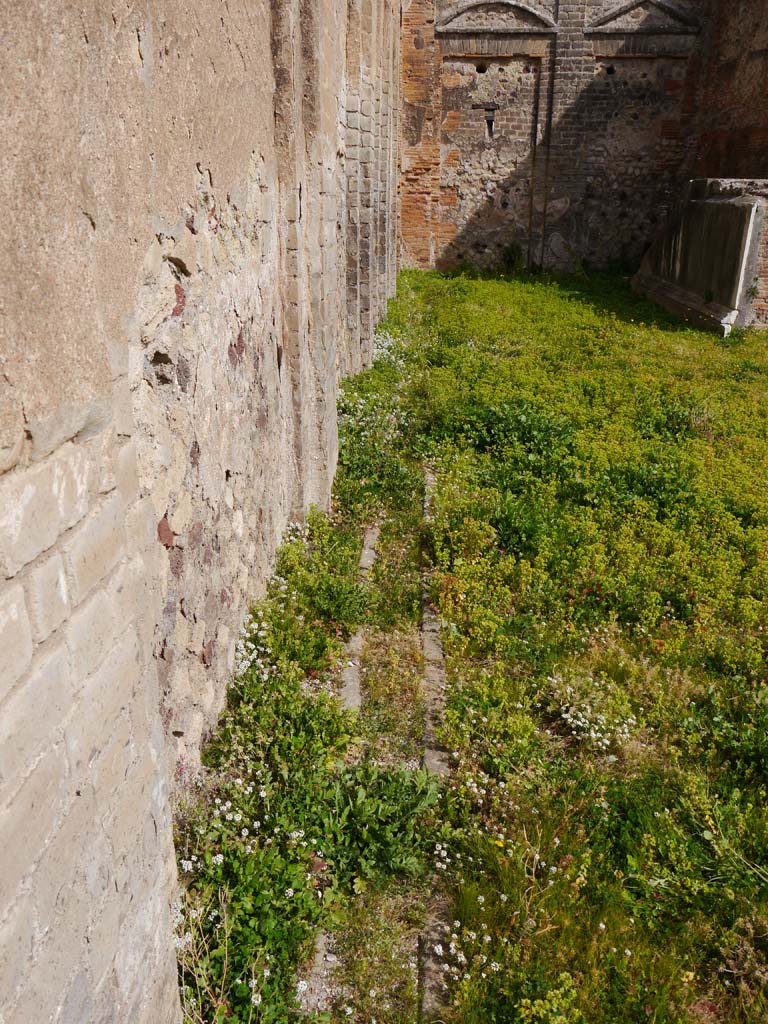 VII.9.2 Pompeii, May 2018. Steps to cella on north side, remaining decoration. Photo courtesy of Buzz Ferebee.