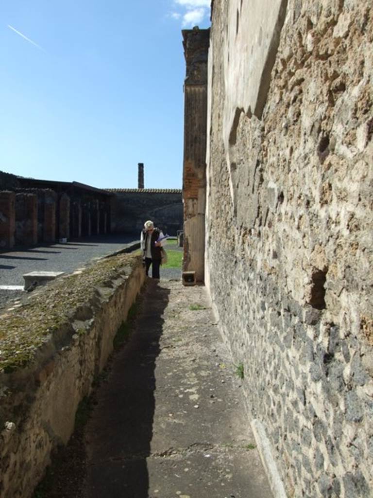 VII.9.7 and VII.9.8 Pompeii. Macellum. March 2009. Looking west along north end, area behind counter in large room in south-east corner.  
