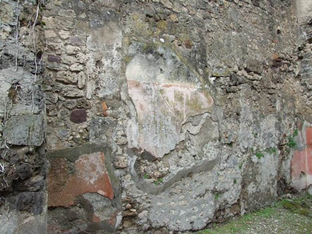 VII.11.14 Pompeii.  March 2009. Room 7.  Tablinum. West wall.