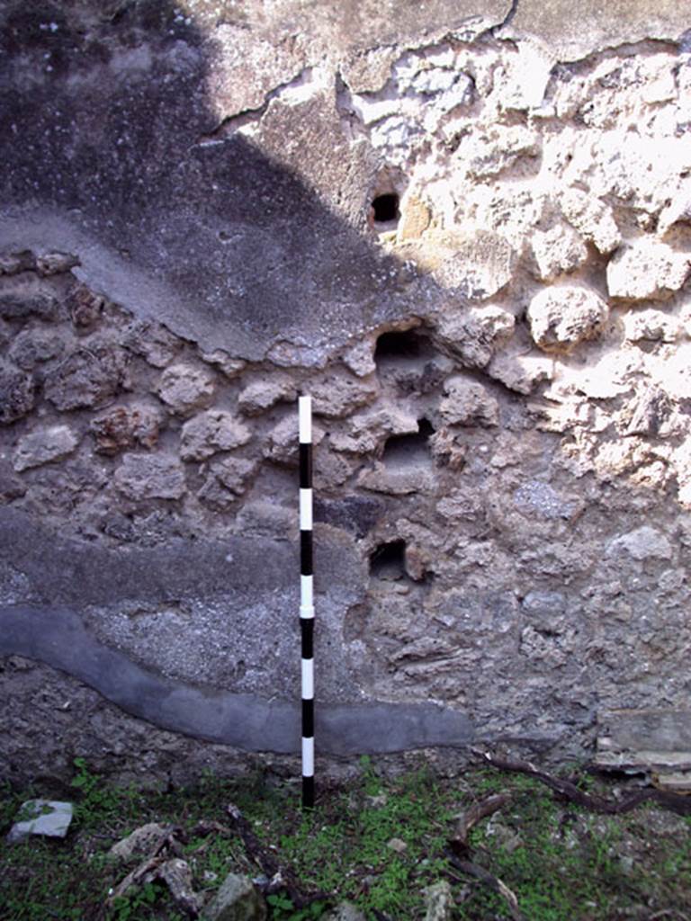 VII.12.11 Pompeii. July 2008. North wall. Photo courtesy of Jared Benton.