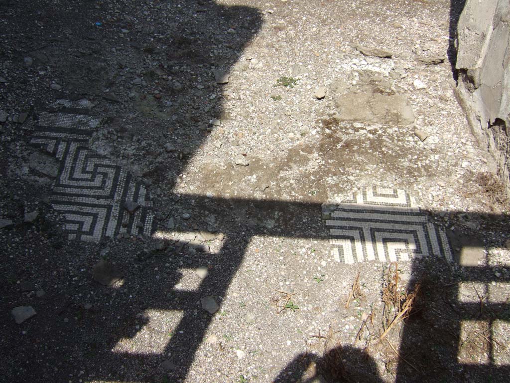 VII.15.2 Pompeii. September 2005. Portion of mosaic in fauces or entrance corridor, looking north.  