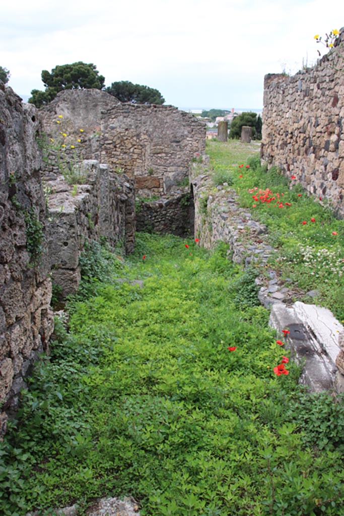 VII.16.12 Pompeii. May 2024. 
Looking west from doorway in atrium towards corridor 12, leading to lower levels of VII.16.13.
Photo courtesy of Klaus Heese.
