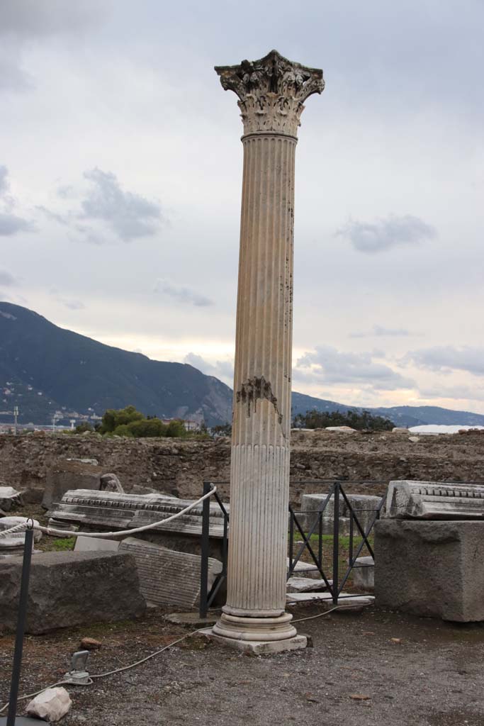 VIII.1.3 Pompeii. W.1606. Looking west towards column in Temple of Venus.
Photo by Tatiana Warscher. Photo © Deutsches Archäologisches Institut, Abteilung Rom, Arkiv. 
