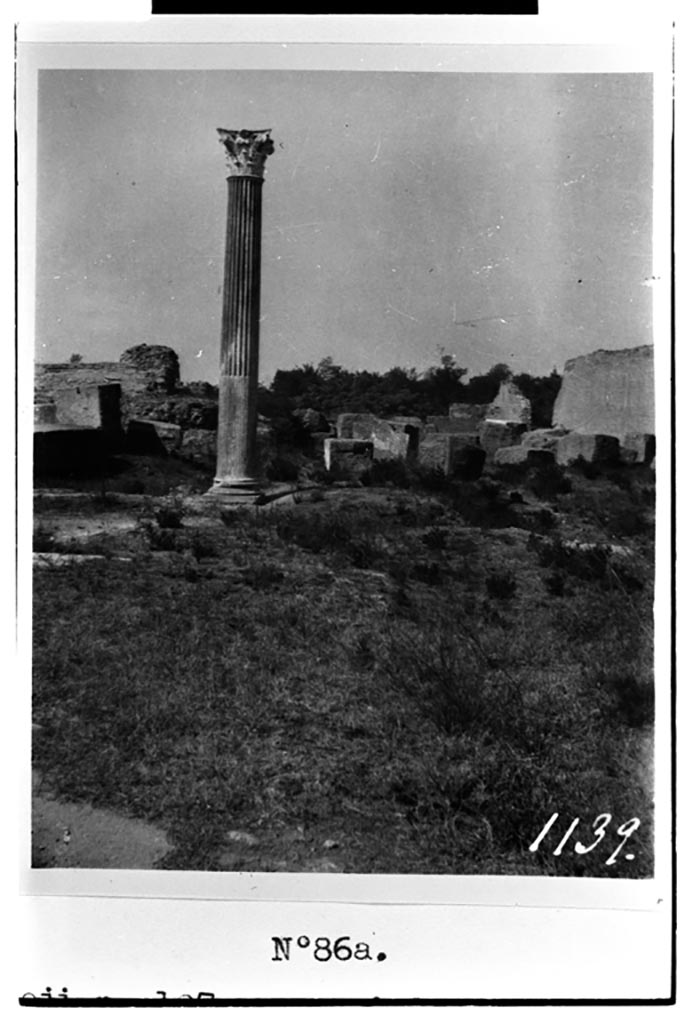 VIII.1.3 Pompeii. W.1606. Looking west towards column in Temple of Venus.
Photo by Tatiana Warscher. Photo © Deutsches Archäologisches Institut, Abteilung Rom, Arkiv. 
