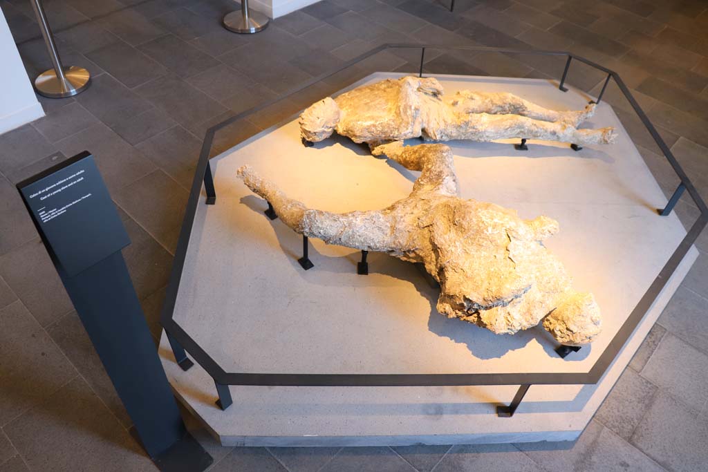 VIII.1.4 Pompeii. February 2021. Plaster-cast of a young slave and an adult man, from Villa 50 in Civita Giuliana, Pompeii.
Photo courtesy of Fabien Bièvre-Perrin (CC BY-NC-SA).
