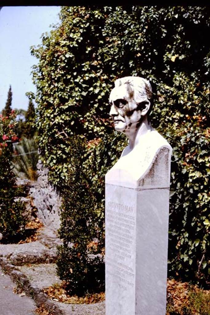 Larario dei Pompeianisti. Pompeii. 1964.  Bust of Augusto Mau.  Photo by Stanley A. Jashemski.
Source: The Wilhelmina and Stanley A. Jashemski archive in the University of Maryland Library, Special Collections (See collection page) and made available under the Creative Commons Attribution-Non Commercial License v.4. See Licence and use details.
J64f2019

