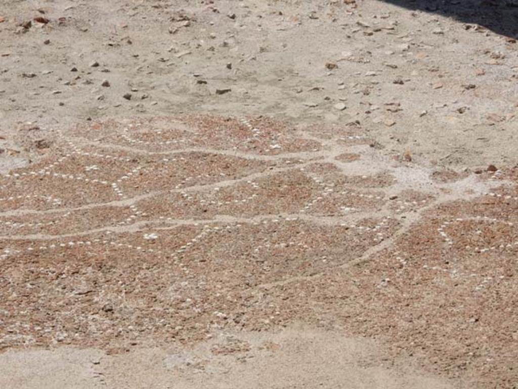 VIII.2.13 Pompeii. May 2018. Flooring of portico and triclinium. Photo courtesy of Buzz Ferebee.

