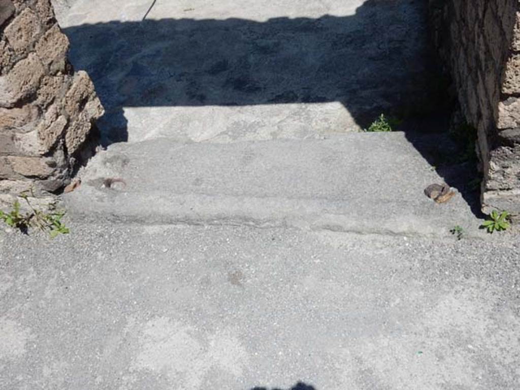 VIII.2.13 Pompeii. May 2018. Threshold of rear doorway from long passageway to rear peristyle.  Photo courtesy of Buzz Ferebee.

