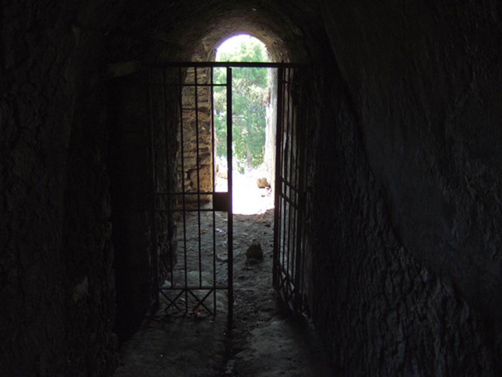 VIII.2.29 Pompeii. September 2005. Looking south on lower level.