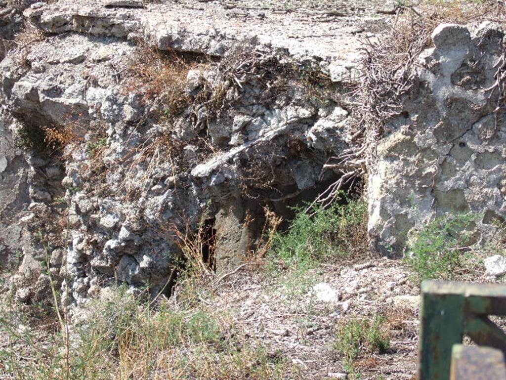 VIII.2.28/29 Pompeii. September 2005. Rear view from VIII.2.30. 