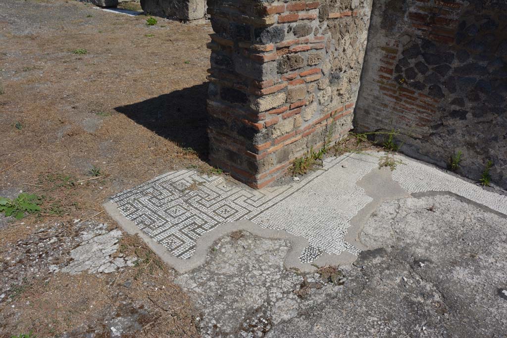 VIII.2.34 Pompeii. Room ‘m’, found in tablinum in February 1885. 
Mosaic with a circular pattern of squares and triangles and with a duck in each corner. 
Now in Naples Archaeological Museum.  Inventory number 114280. 
See Notizie degli Scavi di Antichità, 1885, p. 49.
