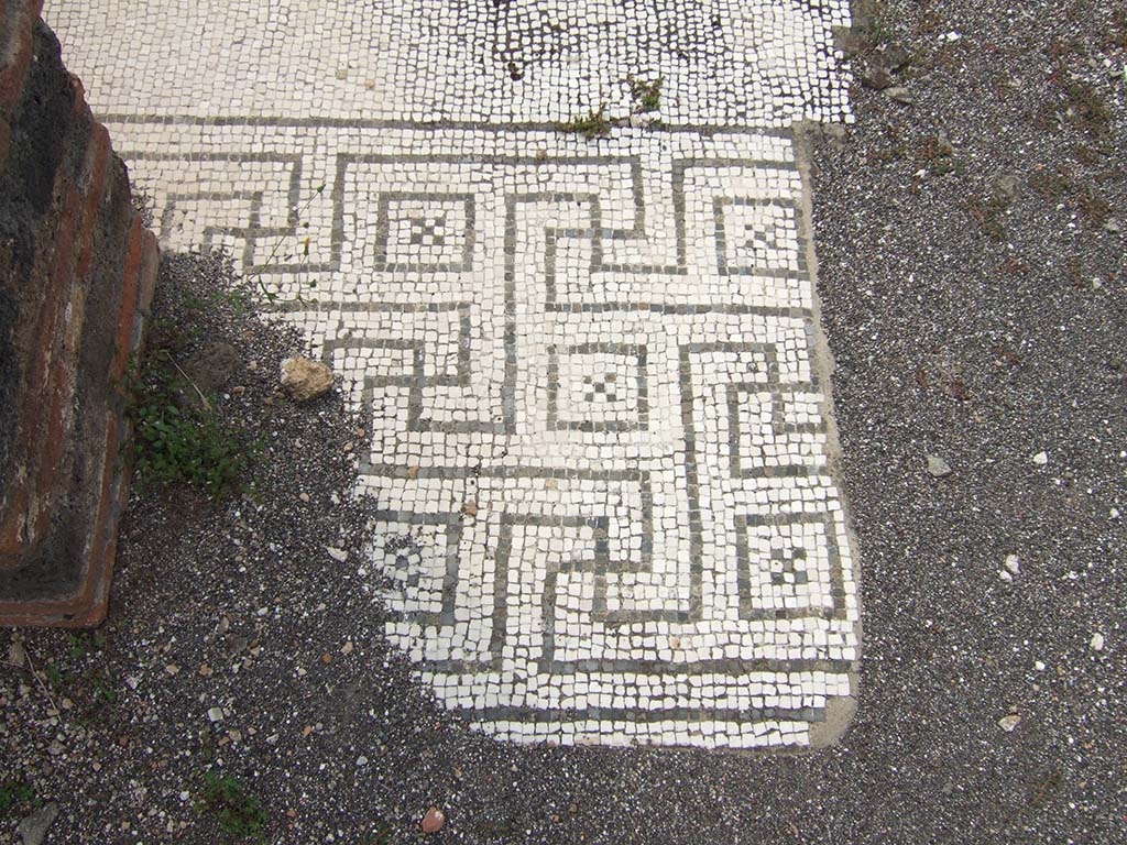 VIII.2.34 Pompeii. May 2006. Doorway to room ‘m’, the tablinum. Looking south across remains of tablinum decorated with mosaic.
According to Jashemski, at the rear of the tablinum was a terrace on street level which was preceded by a colonnaded portico.
See Jashemski, W. F., 1993. The Gardens of Pompeii, Volume II: Appendices. New York: Caratzas. (p.209 incl: Fig 243-4, reconstruction drawing)
