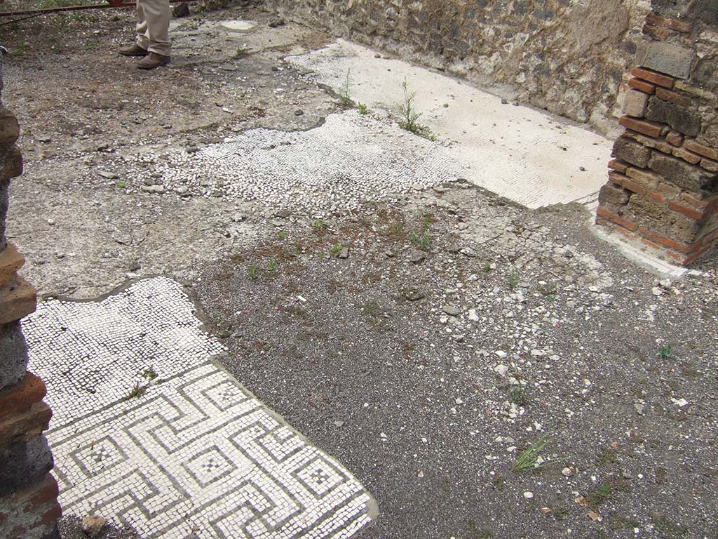 VIII.2.34 Pompeii. c.1930. Triclinium “o” (on west/right of tablinum), white mosaic flooring with black border.
DAIR 41.691. Photo © Deutsches Archäologisches Institut, Abteilung Rom, Arkiv.
See Pernice, E.  1938. Pavimente und Figürliche Mosaiken: Die Hellenistische Kunst in Pompeji, Band VI. Berlin: de Gruyter, (tav. 32.2, above.)
