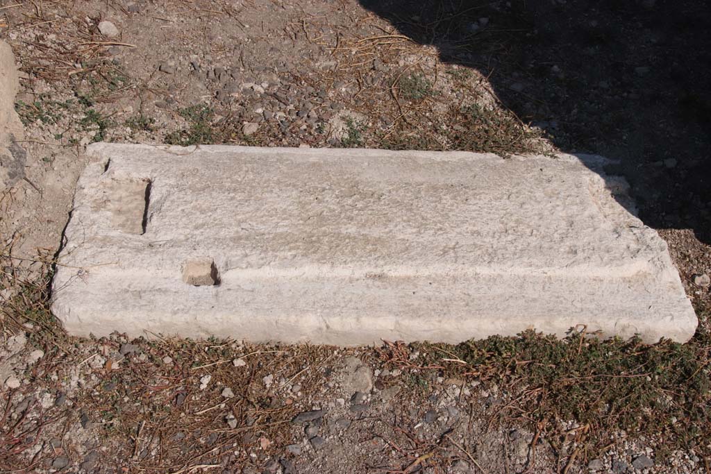 VIII.3.15 Pompeii. September 2021. 
Looking north to threshold of doorway from room 2, to south portico 8 and corridor 6 and garden area. Photo courtesy of Klaus Heese.

