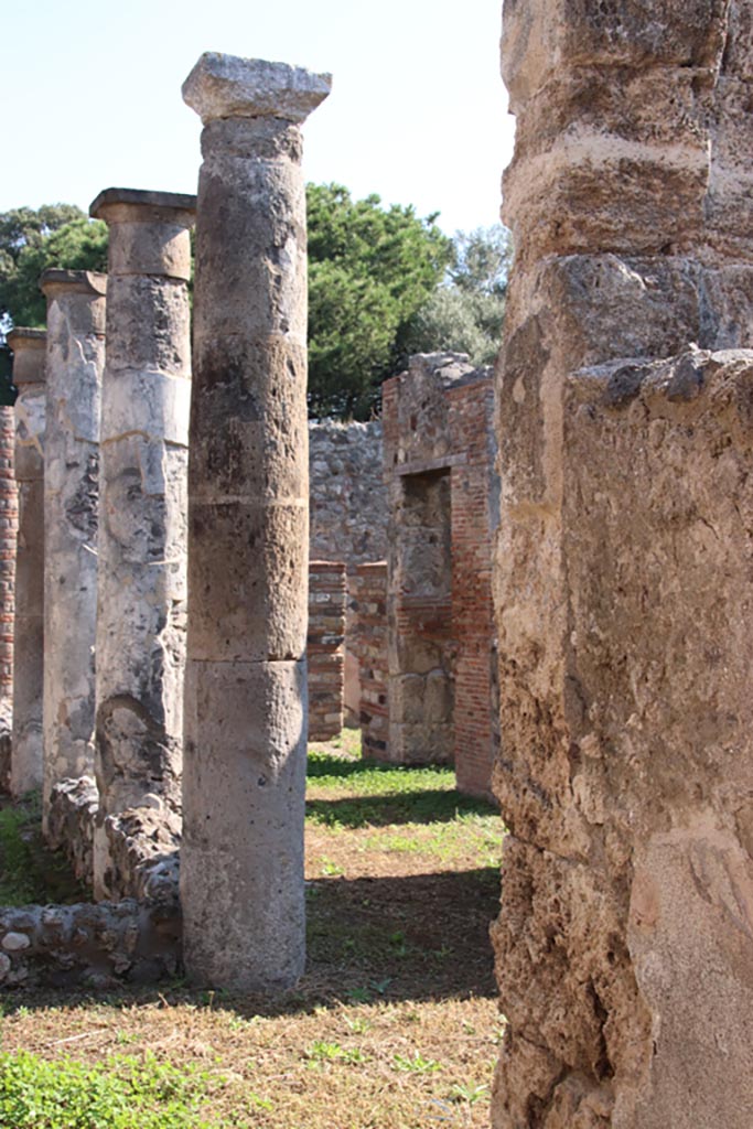 VIII.3.27 Pompeii. October 2022. 
Looking south-east across peristyle/garden area from entrance corridor. Photo courtesy of Klaus Heese. 
