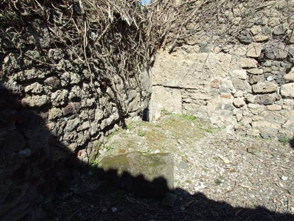 VIII.5.9 Pompeii.  March 2009. Room 12.  North west corner.