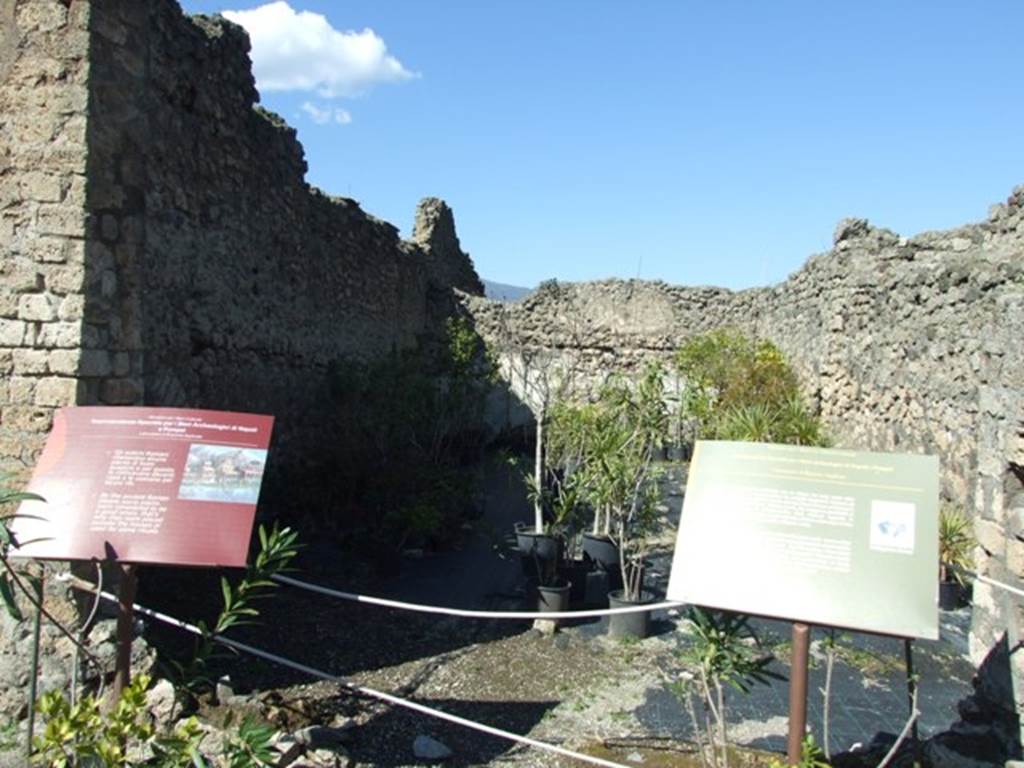 VIII.5.16 Pompeii.  March 2009.  Room 1, Large Triclinium, looking north.