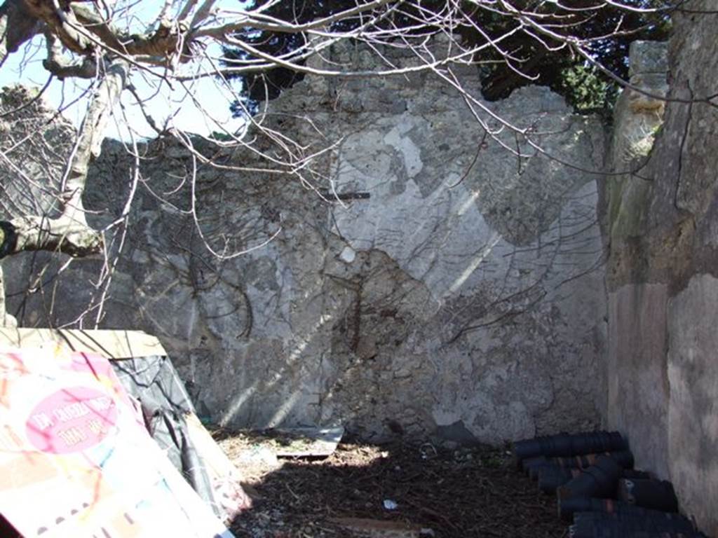 VIII.5.16 Pompeii.  March 2009.  Room 11.  Small garden area. East wall and South east corner.