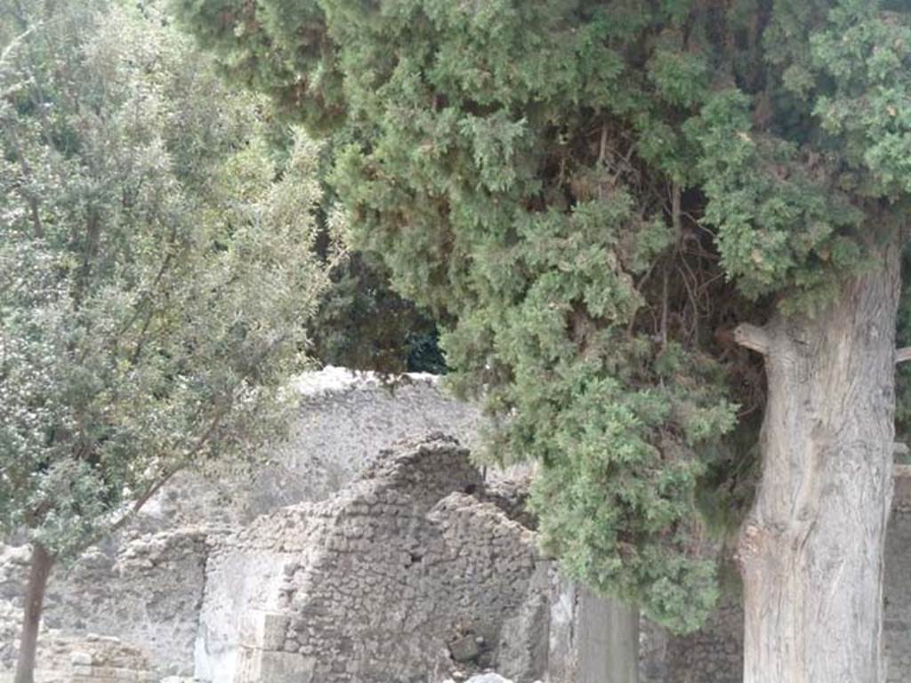 VIII.5.36 Pompeii. September 2015. Looking south-west, over wall in Via del Teatri.

