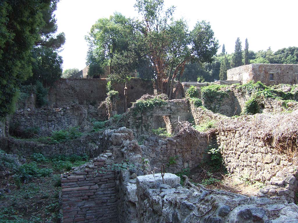 VIII.7.3 Pompeii. September 2005. VIII.7.1 left rear, III.7.2 steps centre foreground and to the right VIII.7.3, rear room.