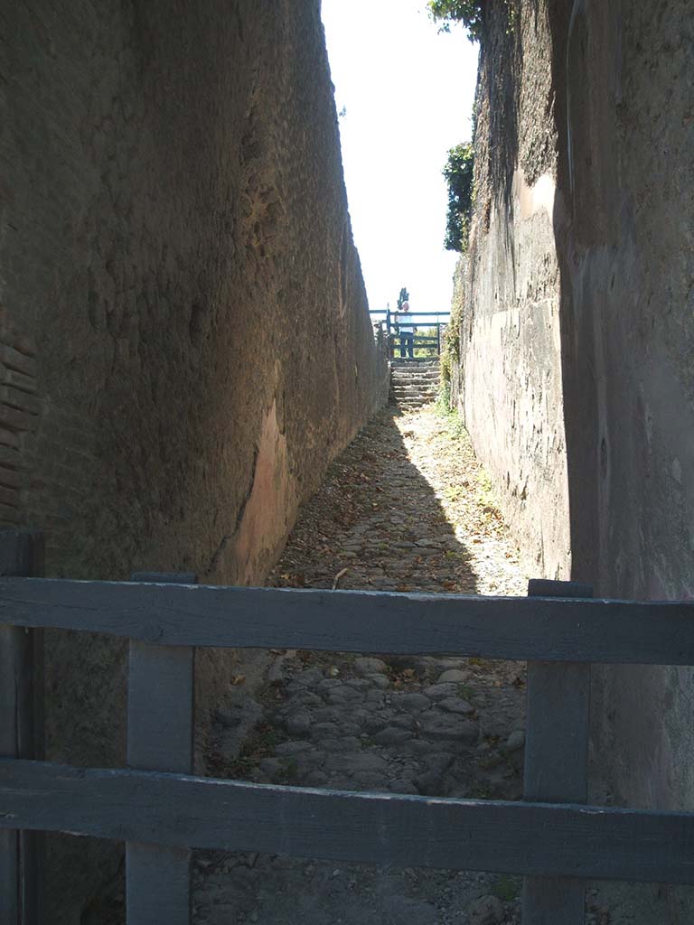 VIII.7.21 Pompeii. May 2005. Entrance doorway to ramp with steps at far end.