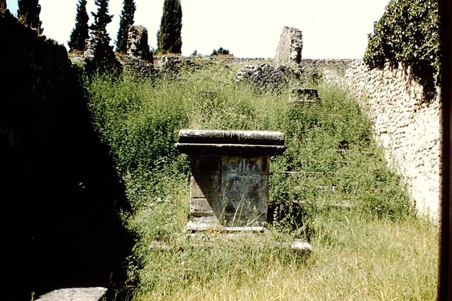 VIII.7.25 Pompeii.    Looking west to the stairs leading to the temple. 
Photographed 1970-79 by Günther Einhorn, picture courtesy of his son Ralf Einhorn.
