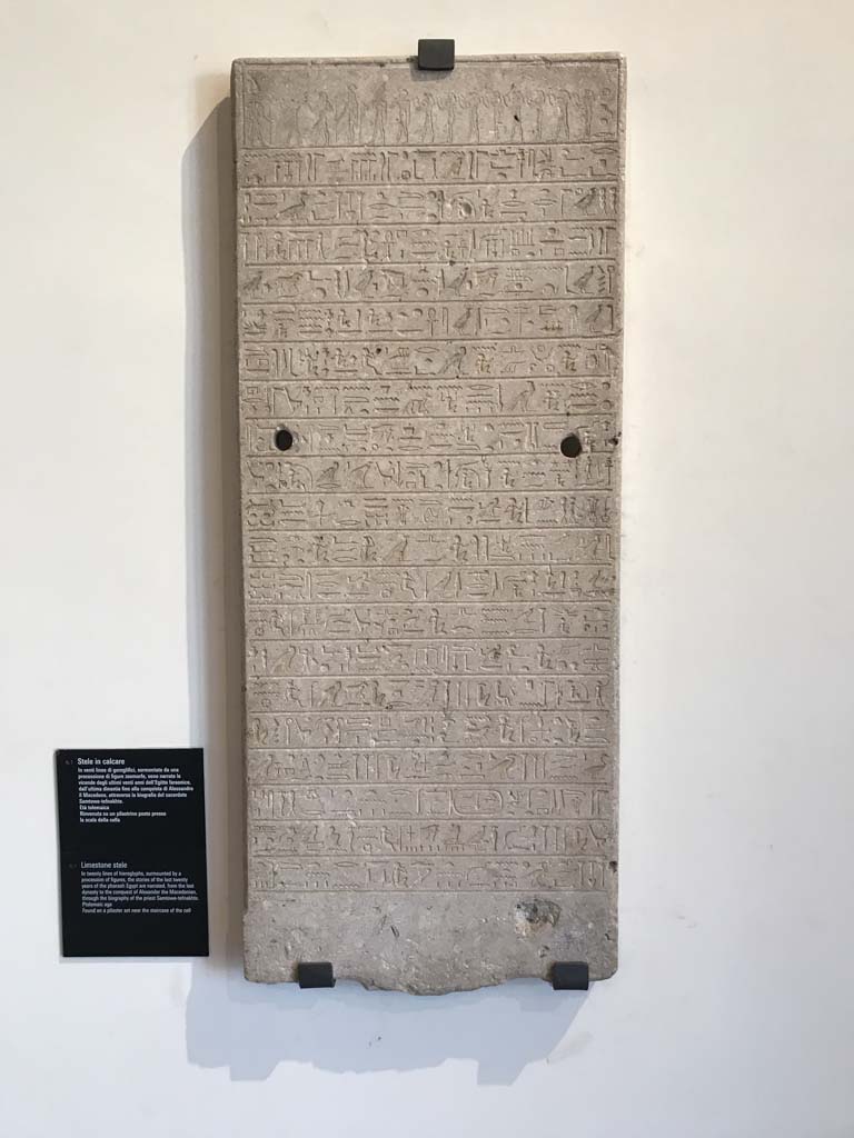 VIII.7.28 Pompeii. June 2019. Museum card with details of Limestone stele with twenty lines of hieroglyphs.
Photo courtesy of Buzz Ferebee.
