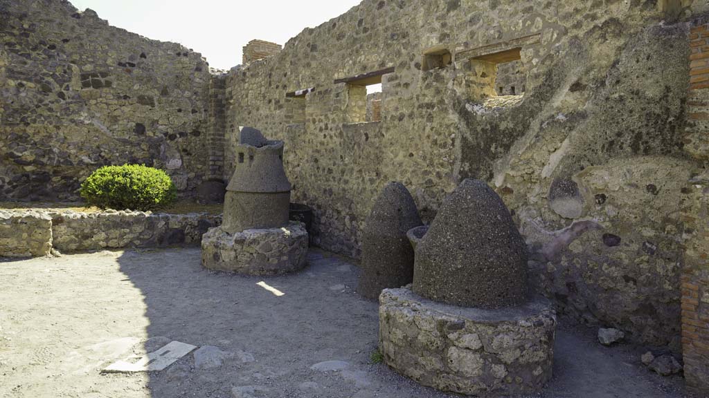 IX.1.3 Pompeii. August 2021. 
Looking east along the south wall, on the left, in the south-east corner (with greenery) would have been a stall for the animals. 
Photo courtesy of Robert Hanson.
