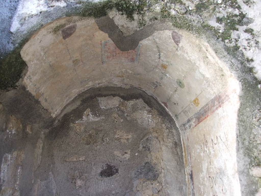 IX.1.18 Pompeii. December 2006. Detail of niche on ceiling.