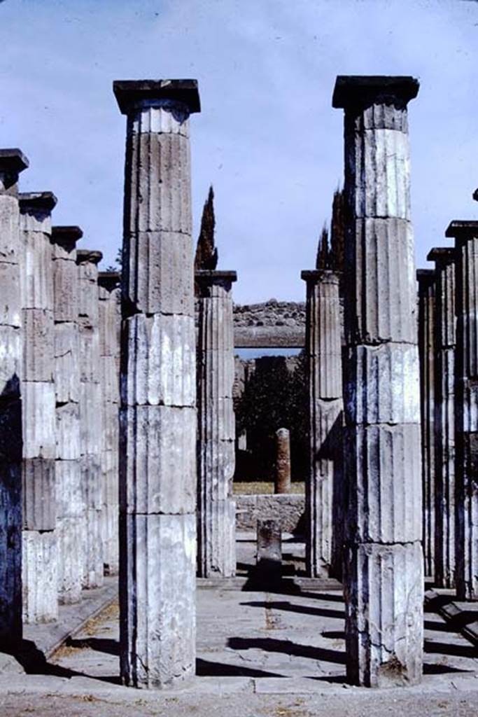 IX.1.20 Pompeii. 1966. Room 2, looking north across atrium. Photo by Stanley A. Jashemski.
Source: The Wilhelmina and Stanley A. Jashemski archive in the University of Maryland Library, Special Collections (See collection page) and made available under the Creative Commons Attribution-Non Commercial License v.4. See Licence and use details.
J66f0296
