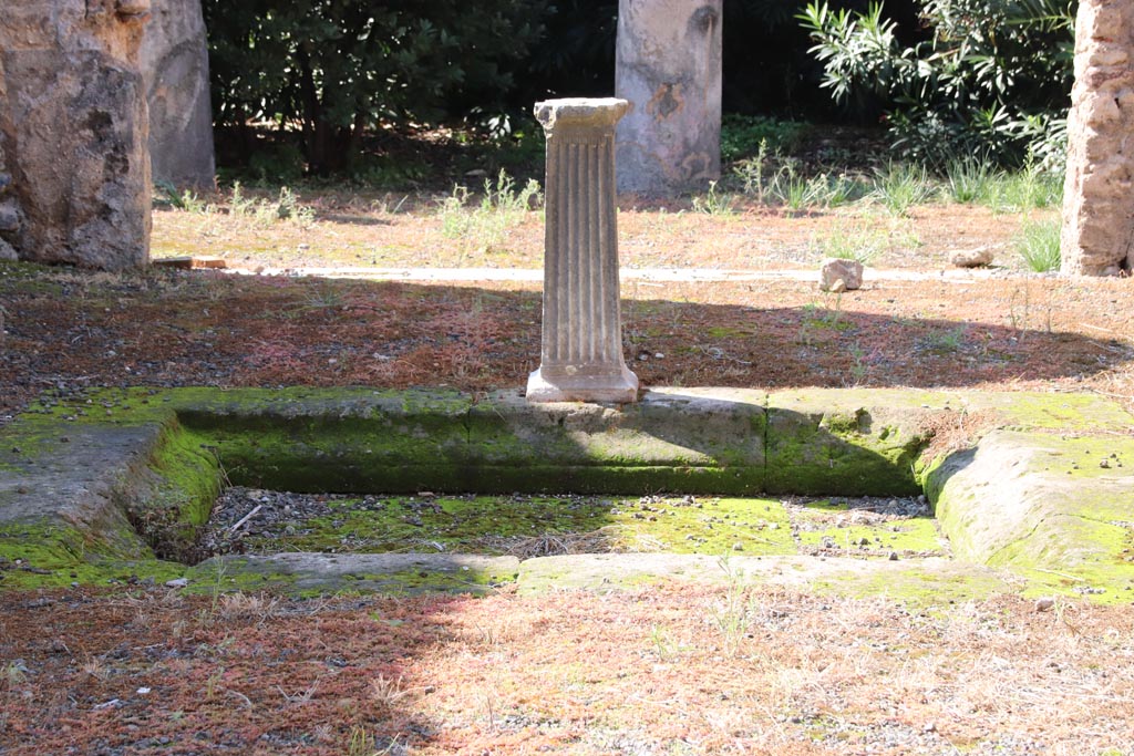 IX.1.29 Pompeii. October 2022. Looking west across impluvium in atrium. Photo courtesy of Klaus Heese. 