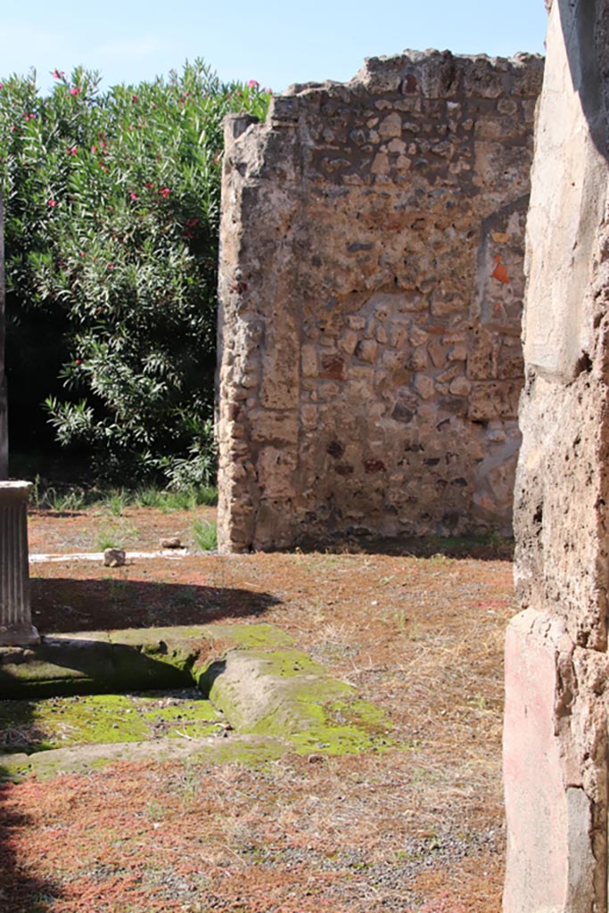 IX.1.29 Pompeii. October 2022. 
Detail of lower west wall on north (right) side of doorway to peristyle. Photo courtesy of Klaus Heese. 
