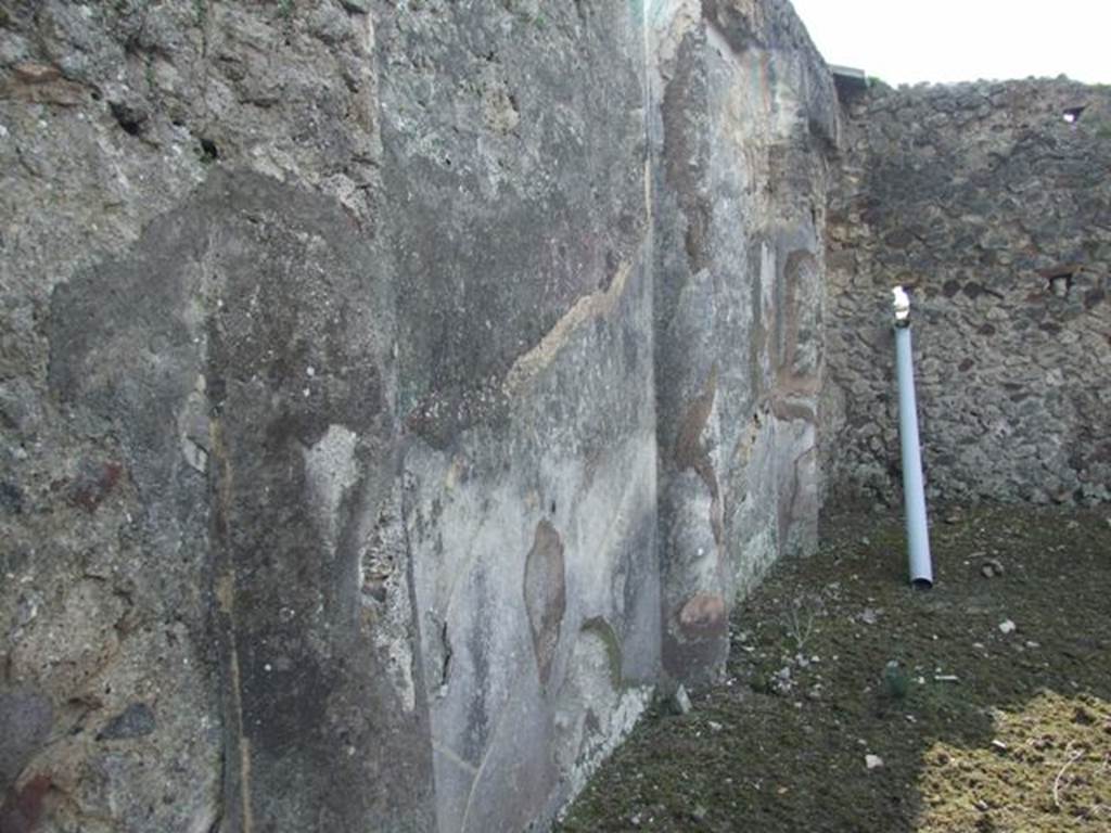 IX.2.17 Pompeii.  March 2009.  Room 9, Garden area.  South wall.