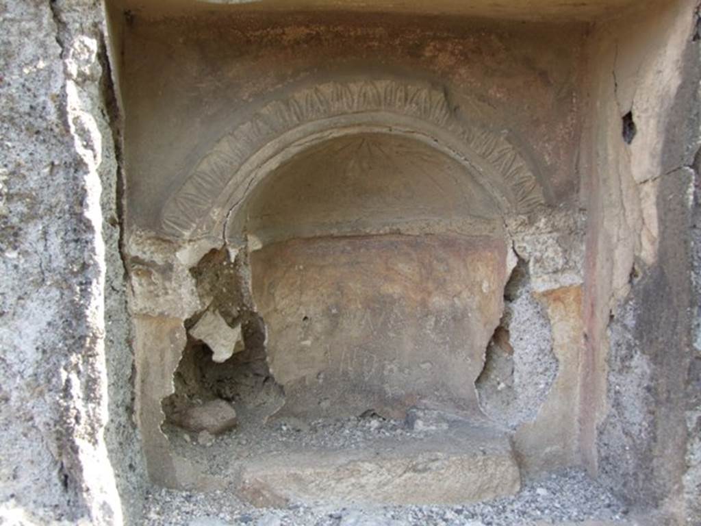 IX.2.21 Pompeii. March 2009. Room 11, stucco in aedicula shrine on south wall. According to Boyce, the back wall of the niche was painted in red above, in the yellow of variegated imitation marble below. Cut into the niche there was an arched semi-circular recess. A low base for a statue stood on the floor of this recess. The vaulted ceiling of the recess was modelled as a plaster shell, and there was a stucco moulding around the curve of the recess

