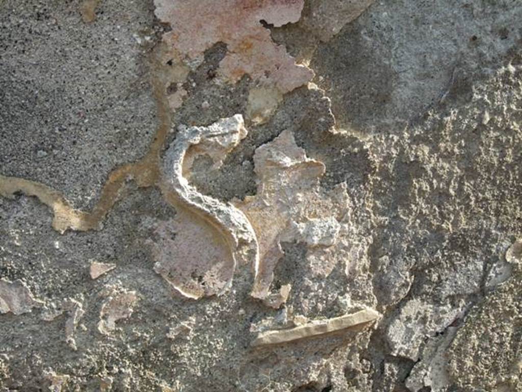 IX.2.21 Pompeii. March 2009. Room 11, south wall.  The remains of one serpent and a small piece of the altar, in stucco. According to Boyce, the plaster panel below the niche was painted yellow, and marked off by a broad red band. Upon this yellow background, in stucco relief were the figures of the two serpents confronted at an altar of a vase-like shape.


 
