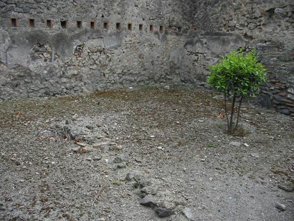 IX.2.24 Pompeii. May 2003. Looking towards south-west corner of yard. Photo courtesy of Nicolas Monteix