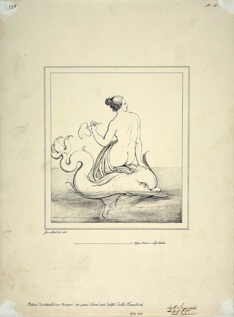 IX.3.5 Pompeii. Room 15, centre of west wall. Drawing by Giuseppe Abbate, 1848, of painting of Galatea sitting on a dolphin.
Now in Naples Archaeological Museum. Inventory number ADS 1010.
Photo © ICCD. http://www.catalogo.beniculturali.it
Utilizzabili alle condizioni della licenza Attribuzione - Non commerciale - Condividi allo stesso modo 2.5 Italia (CC BY-NC-SA 2.5 IT)
