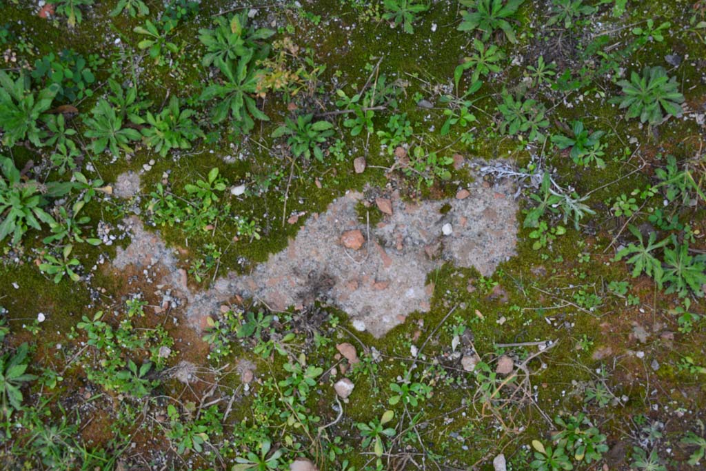 IX.5.2 Pompeii. March 2017. Room L, flooring.
Foto Christian Beck, ERC Grant 681269 DCOR.
