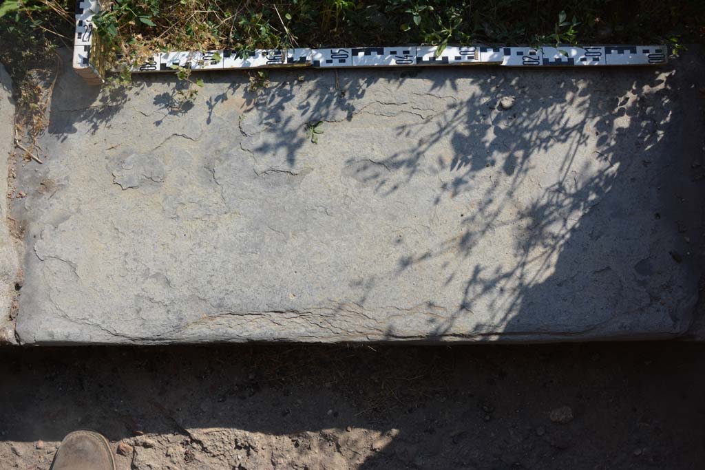 IX.5.2 Pompeii. May 2017. Room ‘c’, detail of doorway threshold, looking west from above. 
Foto Christian Beck, ERC Grant 681269 DÉCOR

