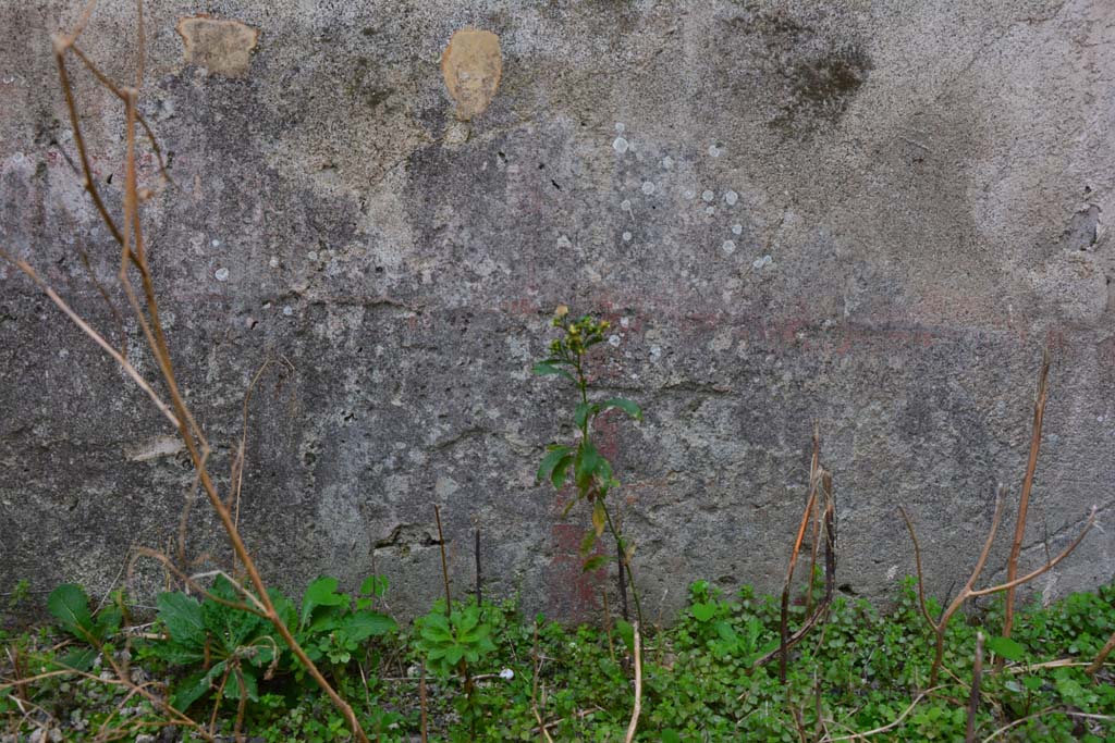 IX.5.2 Pompeii. March 2017. Room ‘f’, zoccolo on south wall at east end.
Foto Christian Beck, ERC Grant 681269 DÉCOR.

