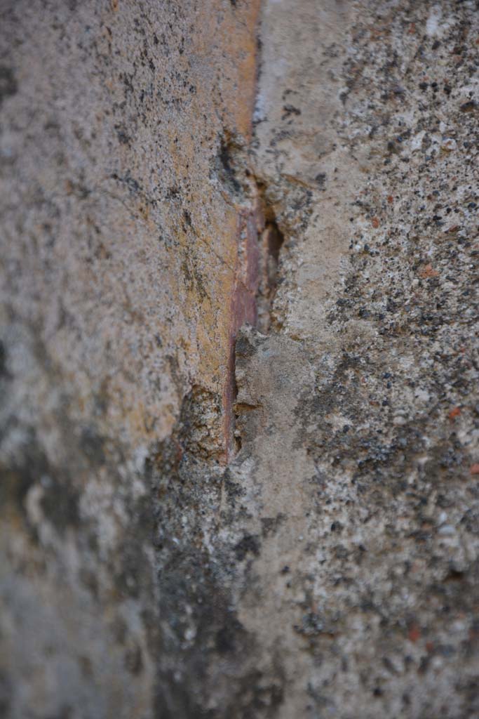 IX.5.2 Pompeii. May 2017. Room ‘g’, detail from south-west corner.
Foto Christian Beck, ERC Grant 681269 DÉCOR.

