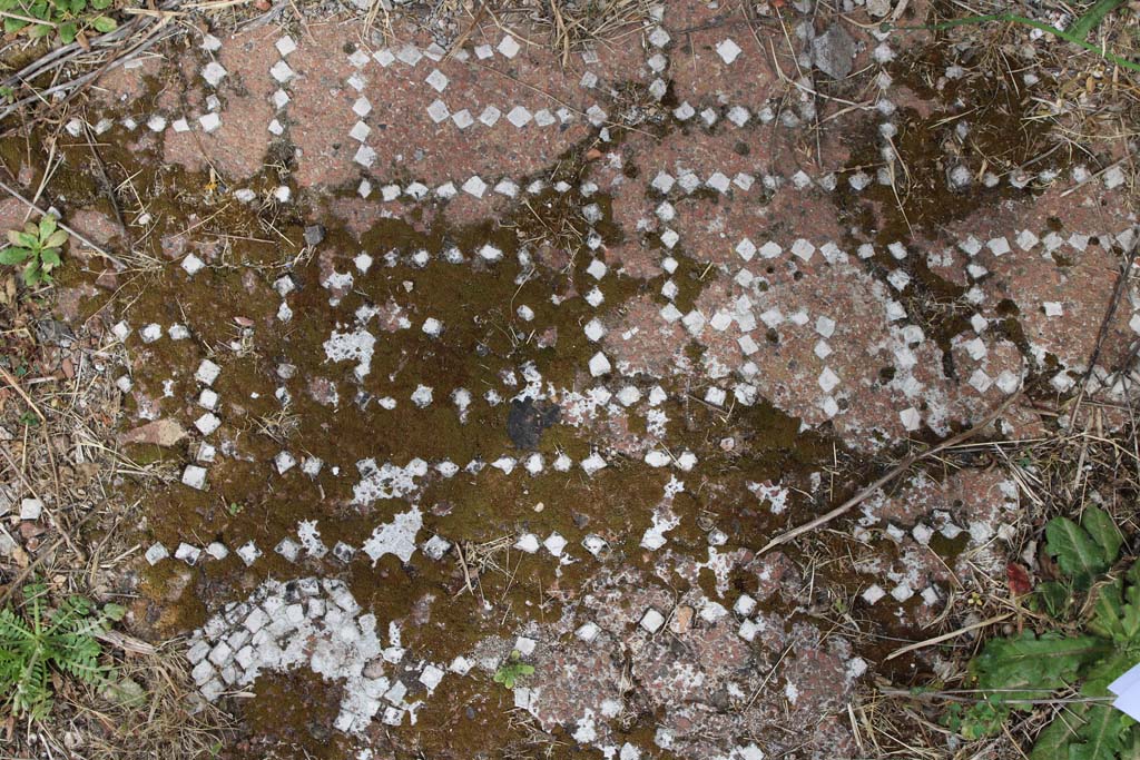 IX.5.2 Pompeii. May 2019. Room k, meanders.
Foto Christian Beck, ERC Grant 681269 DCOR.

