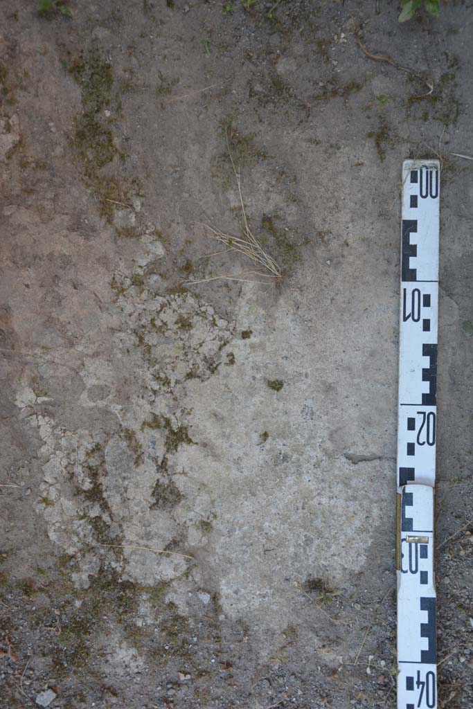 IX.5.6 Pompeii. May 2017. Room t, flooring.
Foto Christian Beck, ERC Grant 681269 DCOR.
