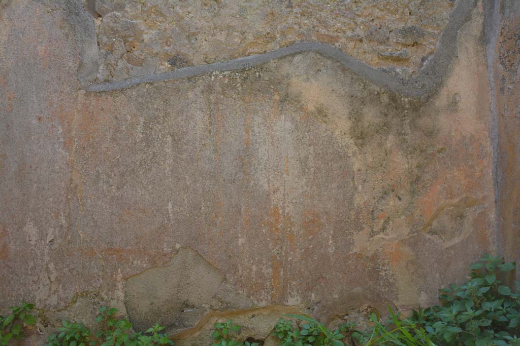 IX.5.6 Pompeii. May 2017. Room s, detail from south wall.
Foto Christian Beck, ERC Grant 681269 DCOR.
