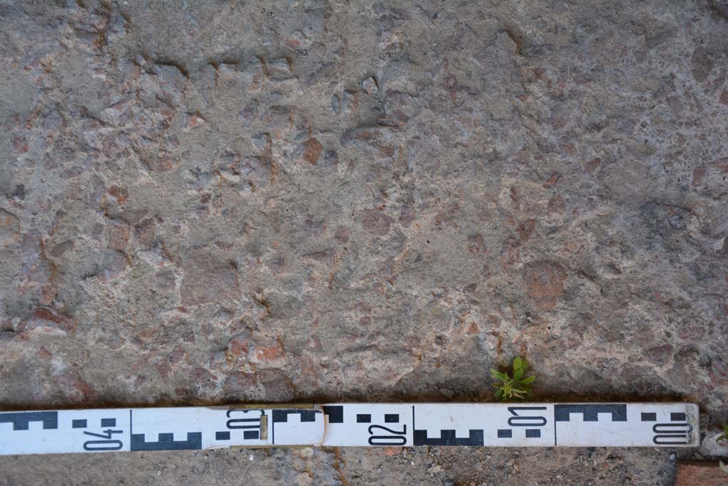 IX.5.6 Pompeii. May 2017. Room l (L), flooring. 
Foto Christian Beck, ERC Grant 681269 DCOR.
