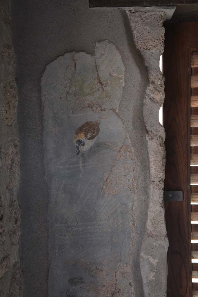 IX.5.9 Pompeii. March 2017. Room l (L), south wall at east end of window.  
Foto Christian Beck, ERC Grant 681269 DCOR.

