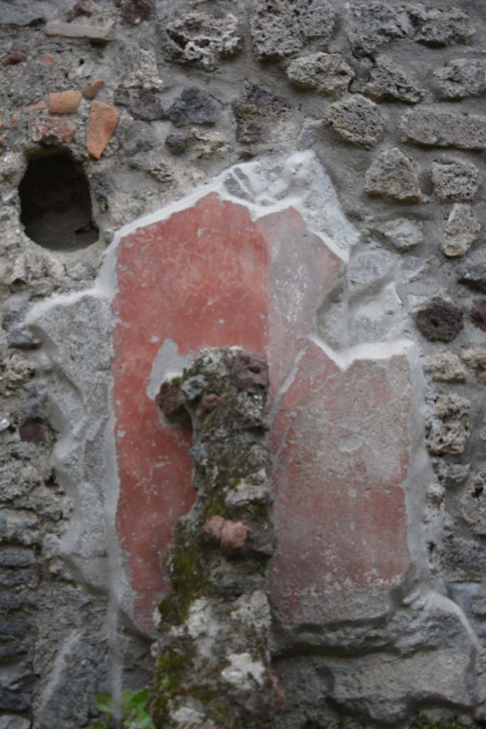 IX.5.9 Pompeii. March 2017. Room n/q, detail of painted decoration at rear of separating wall. 
Foto Christian Beck, ERC Grant 681269 DCOR.
