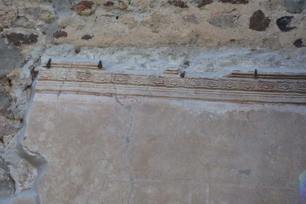 IX.5.9 Pompeii. May 2017. Room o, stucco polychrome cornice from upper north wall in north-east corner.
Foto Christian Beck, ERC Grant 681269 DCOR.

