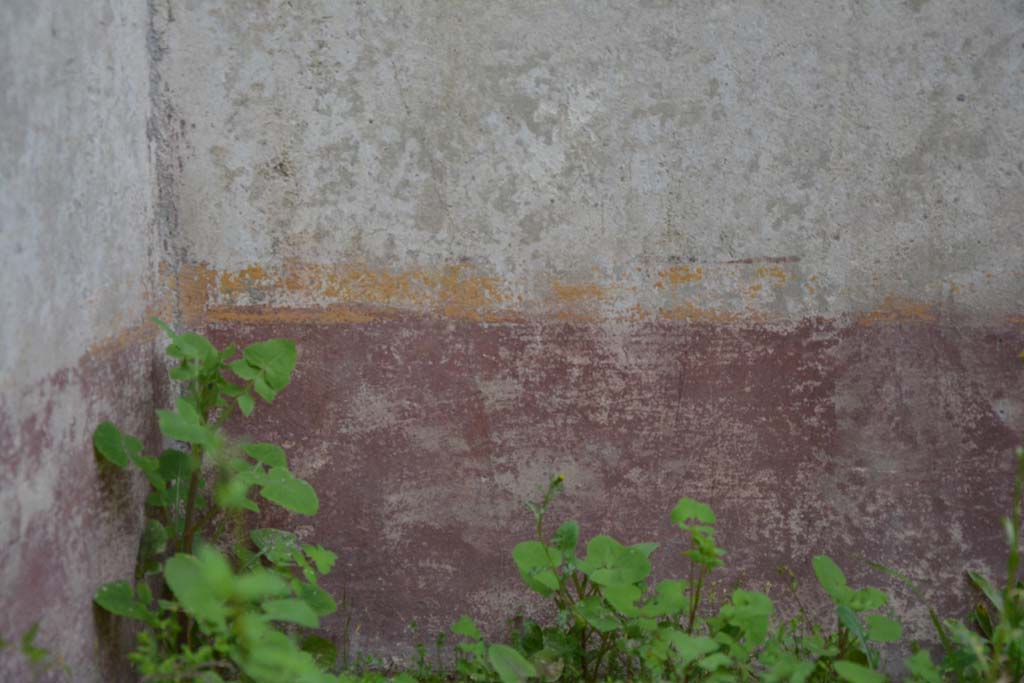 IX.5.9 Pompeii. March 2017. Room o, detail from south wall in south-east corner.
Foto Christian Beck, ERC Grant 681269 DCOR.
