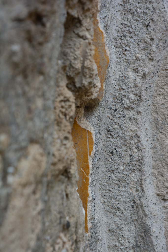 IX.5.9 Pompeii. March 2017. Room “f”, detail from north-west corner.
Foto Christian Beck, ERC Grant 681269 DÉCOR.

